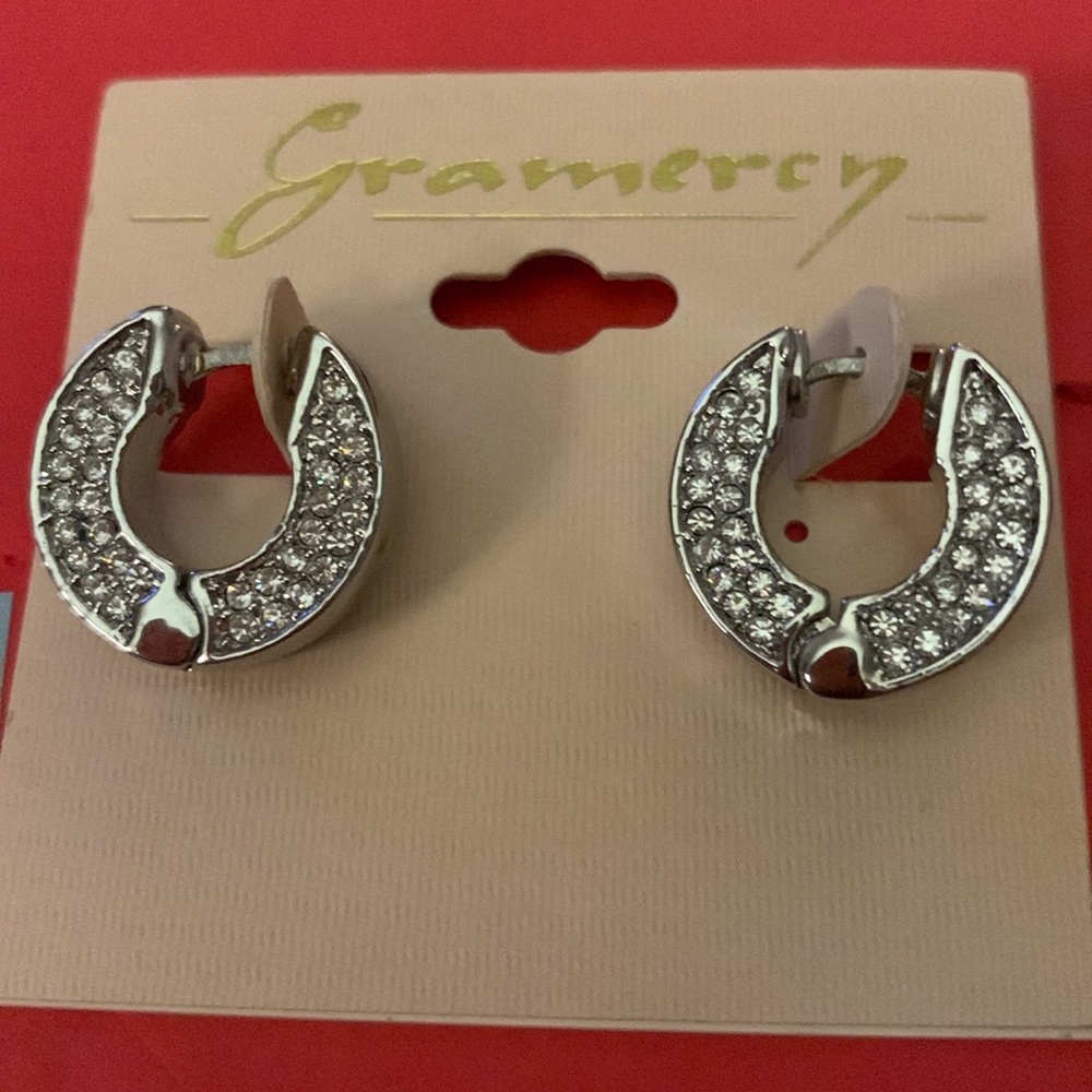 Sparkly Hoops